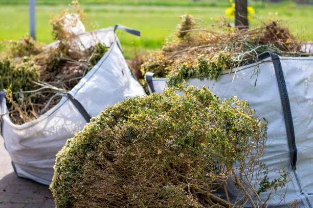 Best Office Junk Removal  in Cherryville, PA